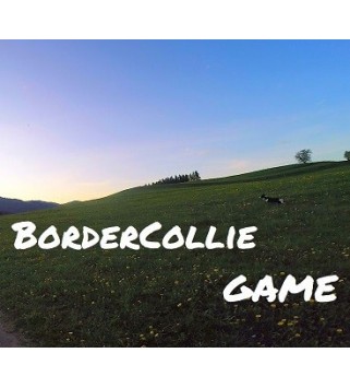BorderCollie Game Steam Key GLOBAL